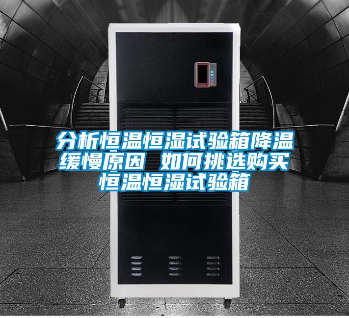 分析恒温恒湿试验箱降温缓慢原因 如何挑选购买恒温恒湿试验箱