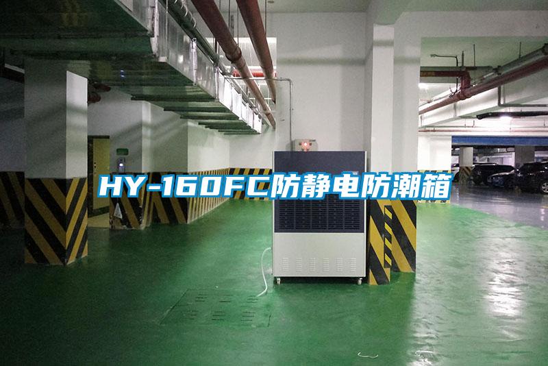 HY-160FC防静电防潮箱