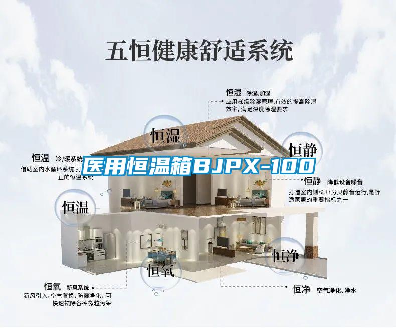 医用恒温箱BJPX-100