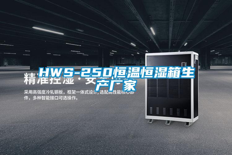 HWS-250恒温恒湿箱生产厂家