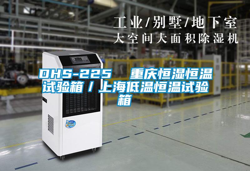DHS-225 重庆恒湿恒温试验箱/上海低温恒温试验箱