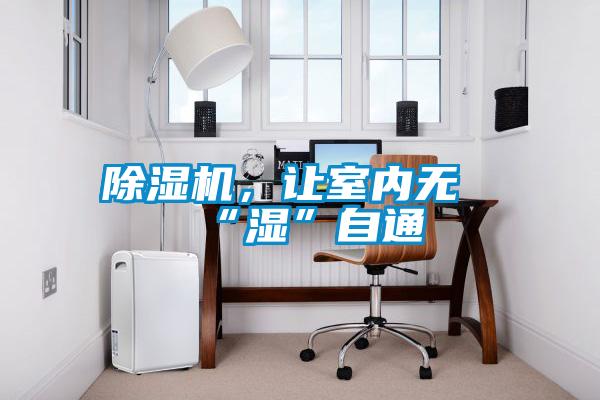 除湿机，让室内无“湿”自通