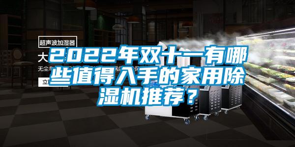 2022年双十一有哪些值得入手的家用除湿机推荐？