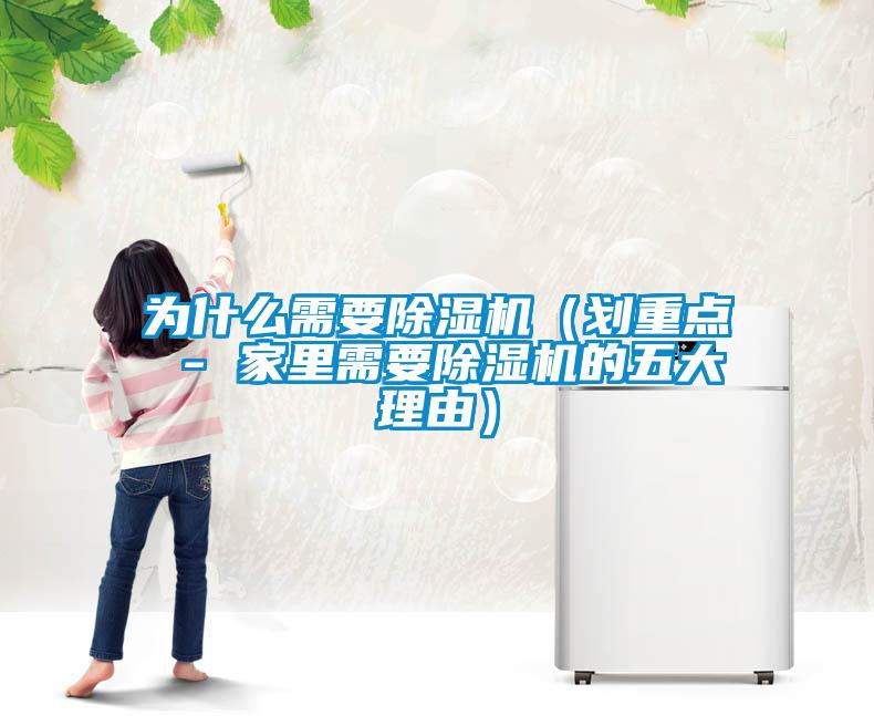 为什么需要除湿机（划重点 - 家里需要除湿机的五大理由）