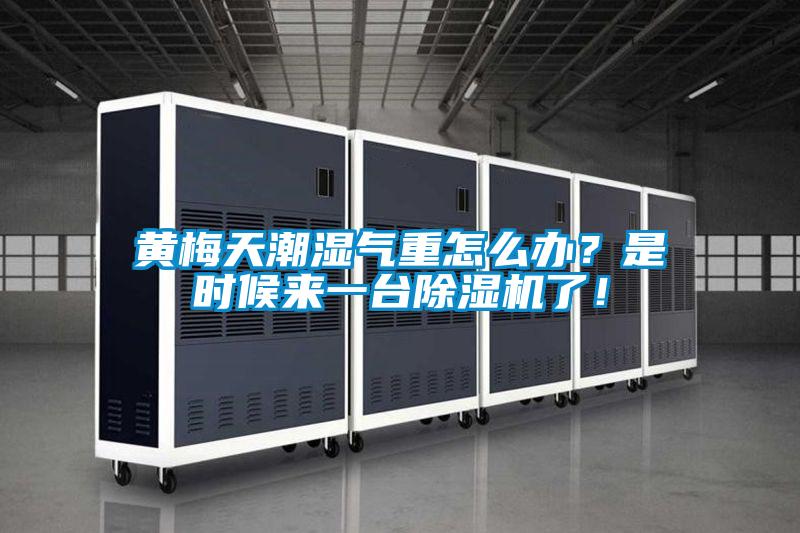 黄梅天潮湿气重怎么办？是时候来一台除湿机了！
