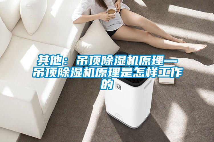 其他：吊顶除湿机原理—吊顶除湿机原理是怎样工作的