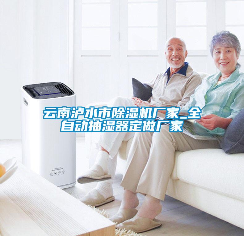 云南泸水市除湿机厂家_全自动抽湿器定做厂家