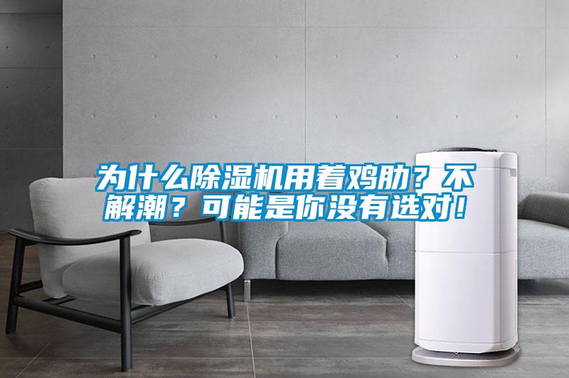 为什么除湿机用着鸡肋？不解潮？可能是你没有选对！