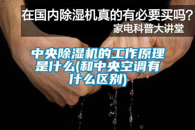 中央除湿机的工作原理是什么(和中央空调有什么区别)