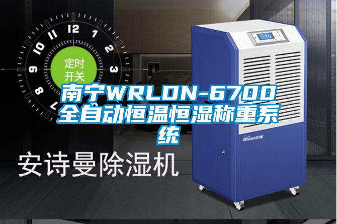 南宁WRLDN-6700全自动恒温恒湿称重系统