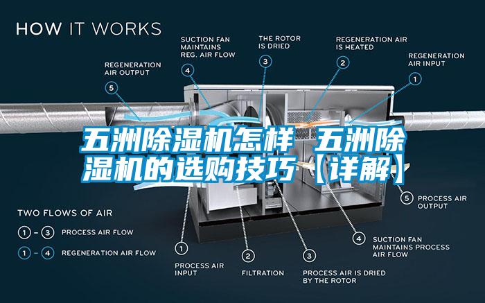 五洲除湿机怎样 五洲除湿机的选购技巧【详解】