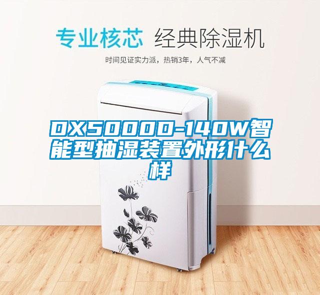 DX5000D-140W智能型抽湿装置外形什么样