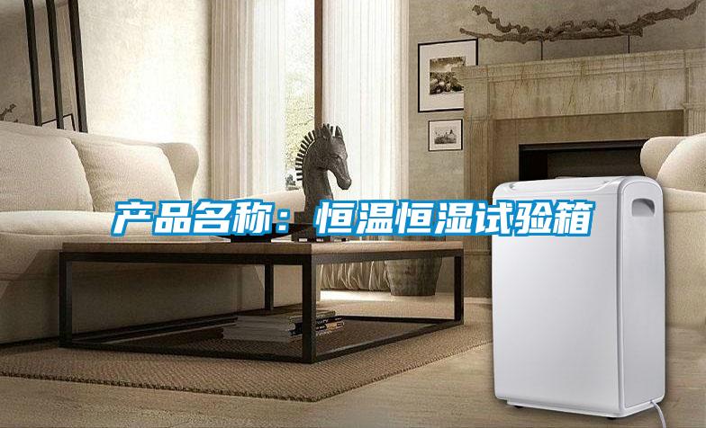 产品名称：恒温恒湿试验箱