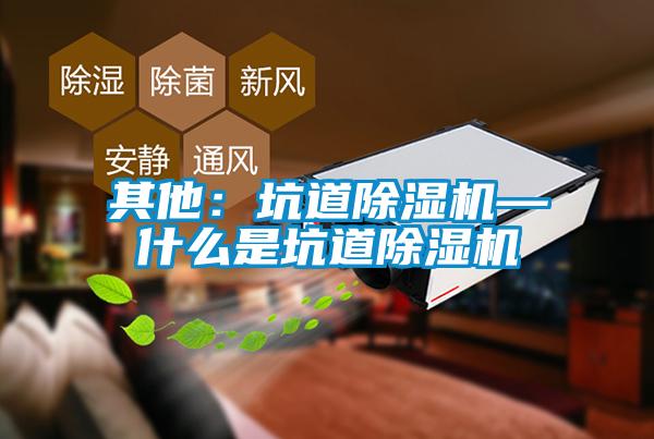 其他：坑道除湿机—什么是坑道除湿机