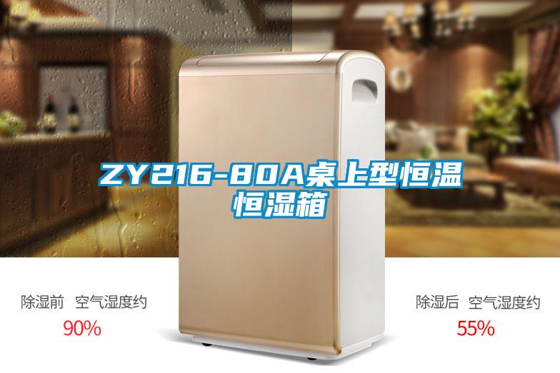 ZY216-80A桌上型恒温恒湿箱