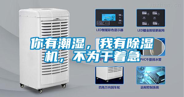 你有潮湿，我有除湿机，不为干着急