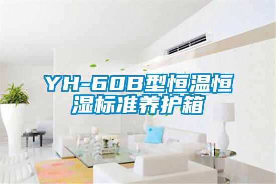 YH-60B型恒温恒湿标准养护箱
