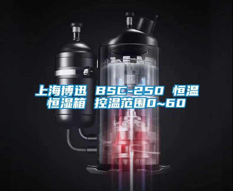 上海博迅 BSC-250 恒温恒湿箱 控温范围0~60℃