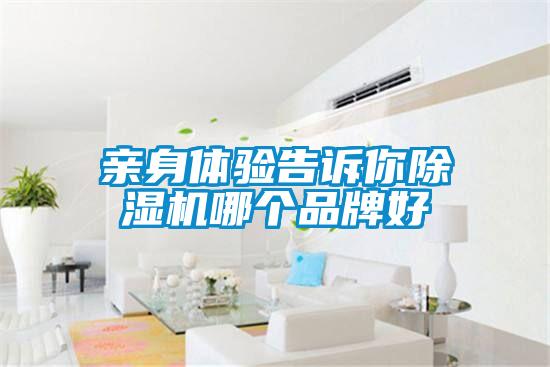 亲身体验告诉你除湿机哪个品牌好