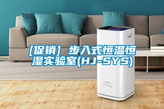 [促销] 步入式恒温恒湿实验室(HJ-SYS)
