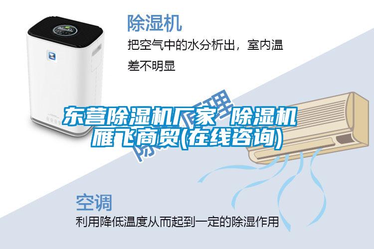 东营除湿机厂家 除湿机 雁飞商贸(在线咨询)