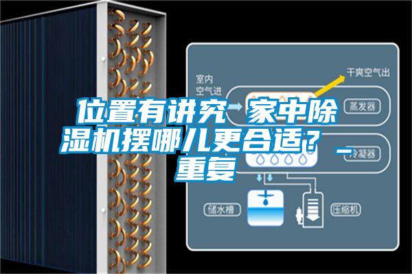 位置有讲究 家中除湿机摆哪儿更合适？_重复