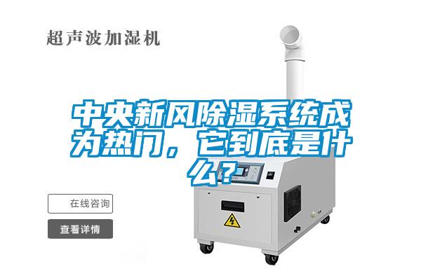 中央新风除湿系统成为热门，它到底是什么？