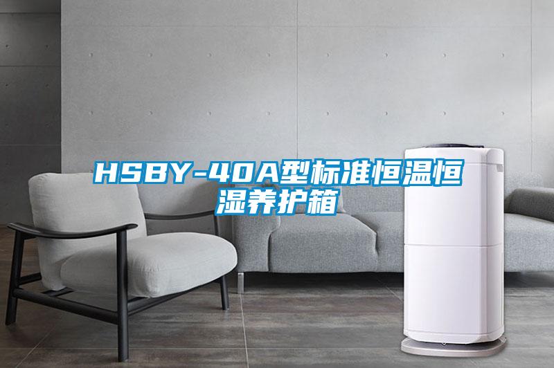HSBY-40A型标准恒温恒湿养护箱