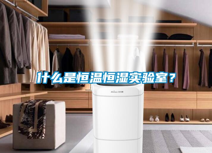 什么是恒温恒湿实验室?
