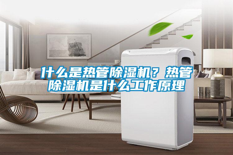 什么是热管除湿机？热管除湿机是什么工作原理