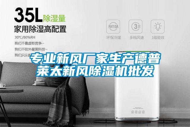 专业新风厂家生产德普莱太新风除湿机批发
