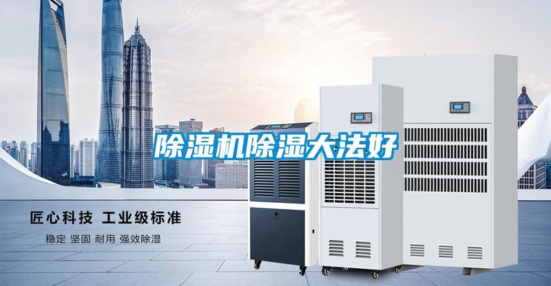 除湿机除湿大法好