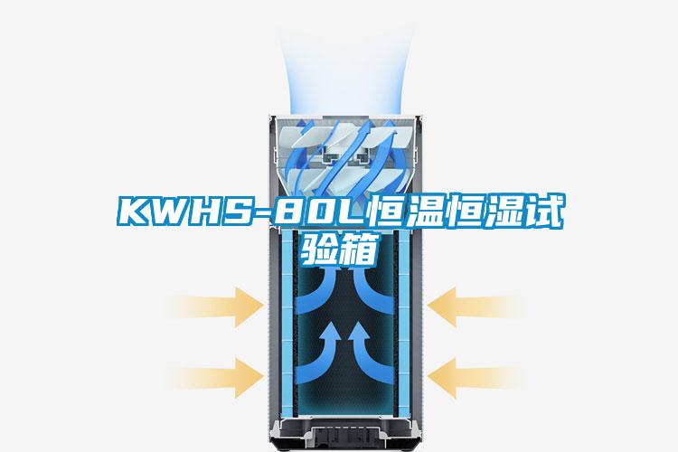 KWHS-80L恒温恒湿试验箱
