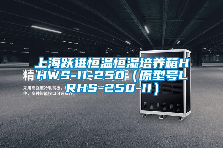 上海跃进恒温恒湿培养箱HHWS-II-250（原型号LRHS-250-II）