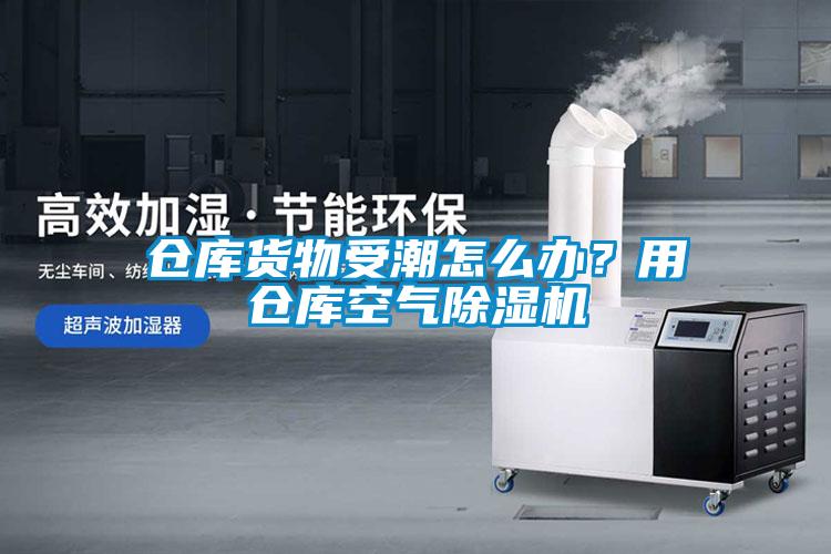 仓库货物受潮怎么办？用仓库空气除湿机