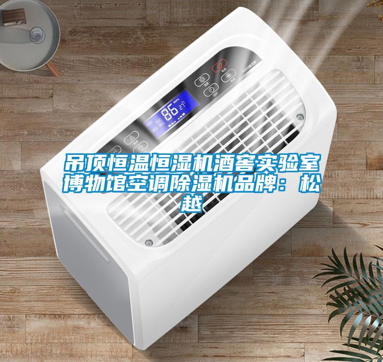 吊顶恒温恒湿机酒窖实验室博物馆空调除湿机品牌：松越