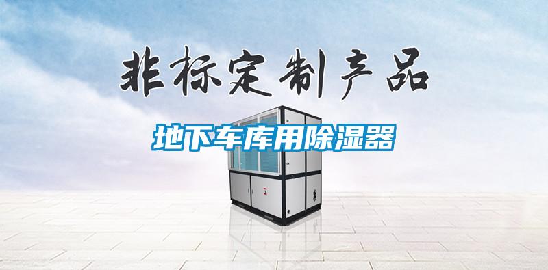 地下车库用除湿器