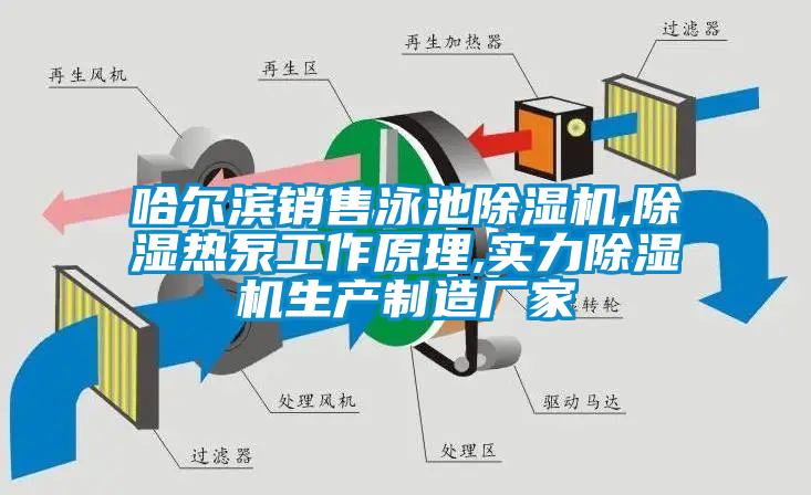 哈尔滨销售泳池除湿机,除湿热泵工作原理,实力除湿机生产制造厂家