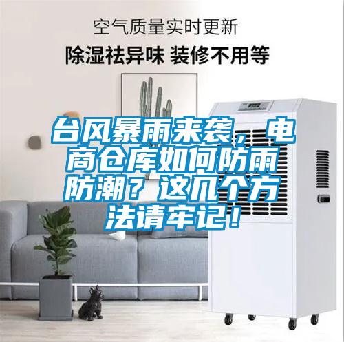 台风暴雨来袭,电商仓库如何防雨防潮?这几个方法请牢记!