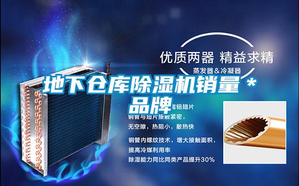 地下仓库除湿机销量＊品牌
