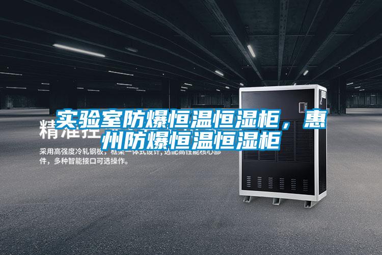 实验室防爆恒温恒湿柜，惠州防爆恒温恒湿柜