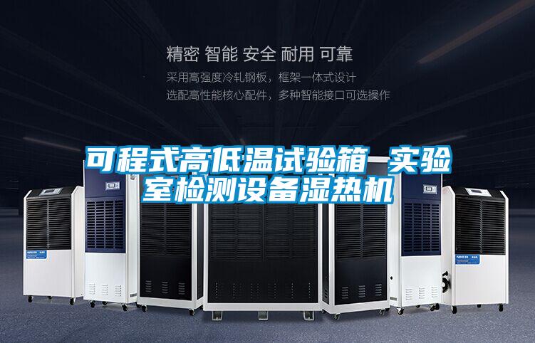 可程式高低温试验箱 实验室检测设备湿热机
