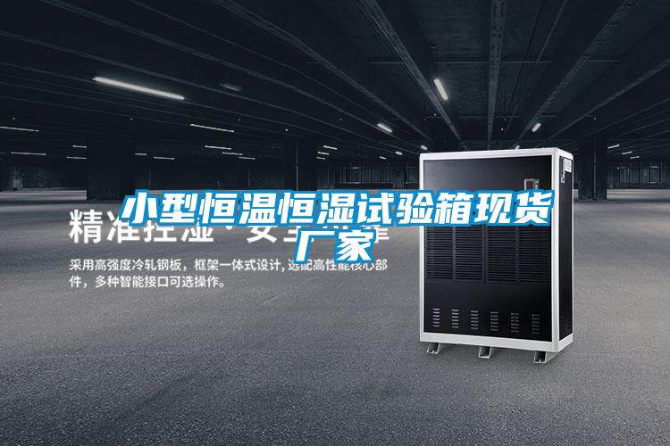 小型恒温恒湿试验箱现货厂家
