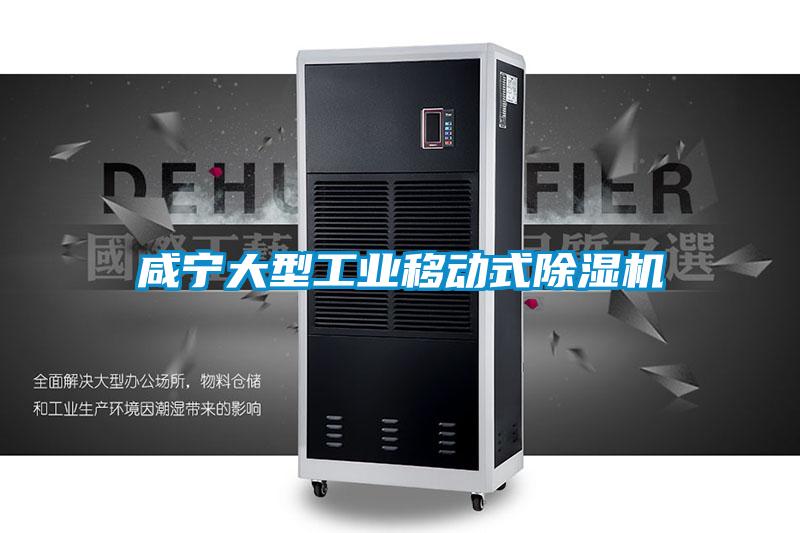 咸宁大型工业移动式除湿机
