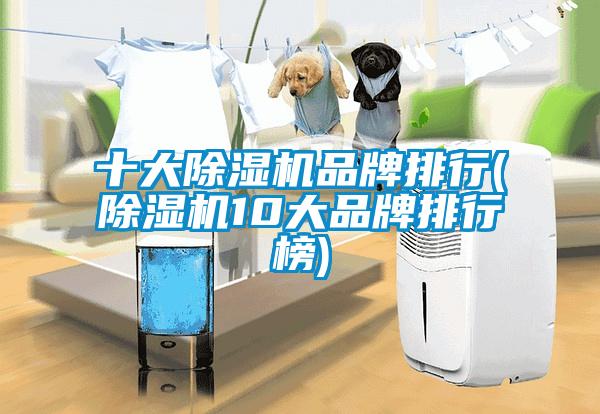 十大除湿机品牌排行(除湿机10大品牌排行榜)