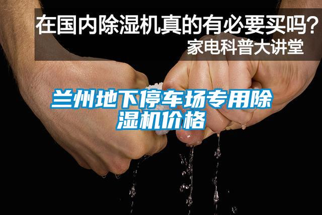 兰州地下停车场专用除湿机价格