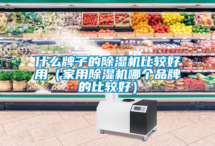 什么牌子的除湿机比较好用（家用除湿机哪个品牌的比较好）