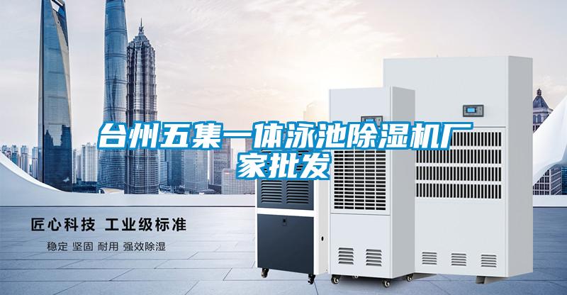 台州五集一体泳池除湿机厂家批发