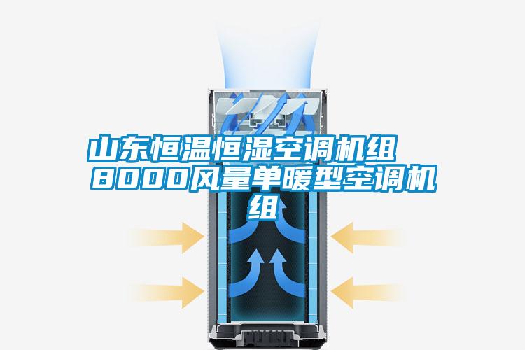 山东恒温恒湿空调机组  8000风量单暖型空调机组