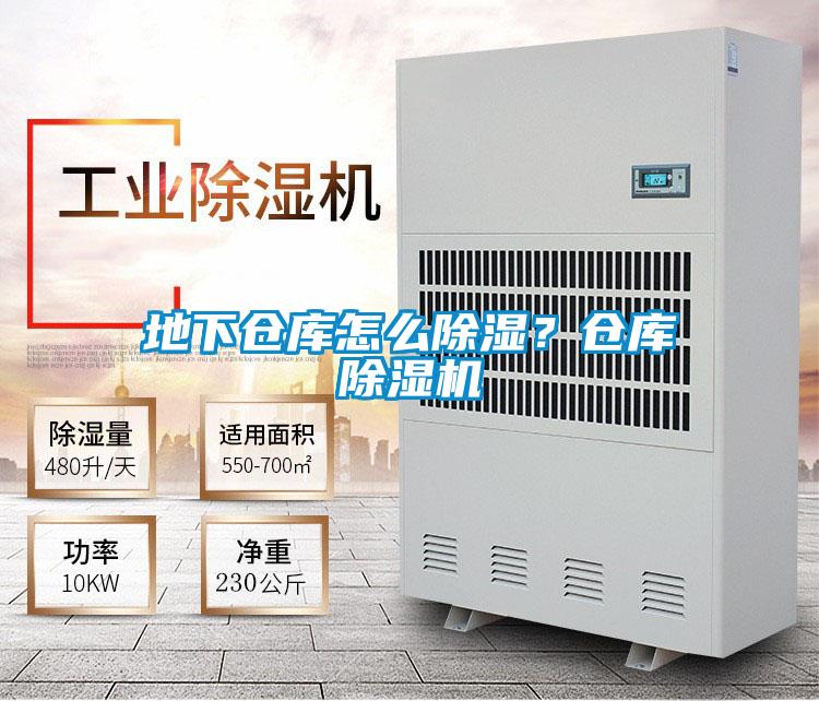 地下仓库怎么除湿？仓库除湿机